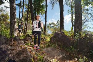 BIB: 
                            <button type="button" onclick="openModal(18937360)" class="btn btn-primary btn-sm float-right btn-popup" data-toggle="modal" data-target=".modal-high-quality">
                        <i class="fas fa-shopping-cart"></i> Add to Cart
                    </button>
                                            <button type="button" onclick="isThisMe(18937360, true)" class="btn btn-success btn-sm float-right btn-popup btn-isme hidden" data-toggle="tooltip" data-placement="bottom" title="นี่คือรูปของคุณใช่ไหม คลิกที่นี่เพื่อเอาเข้าอัลบั้ม">
                        <i class="fas fa-plus"></i> Add to album
                    </button>
                    <button type="button" onclick="isThisMe(18937360, false)" class="btn btn-warning btn-sm float-right btn-popup btn-isnotme hidden">
                        <i class="fas fa-ban"></i> Remove from album
                    </button>